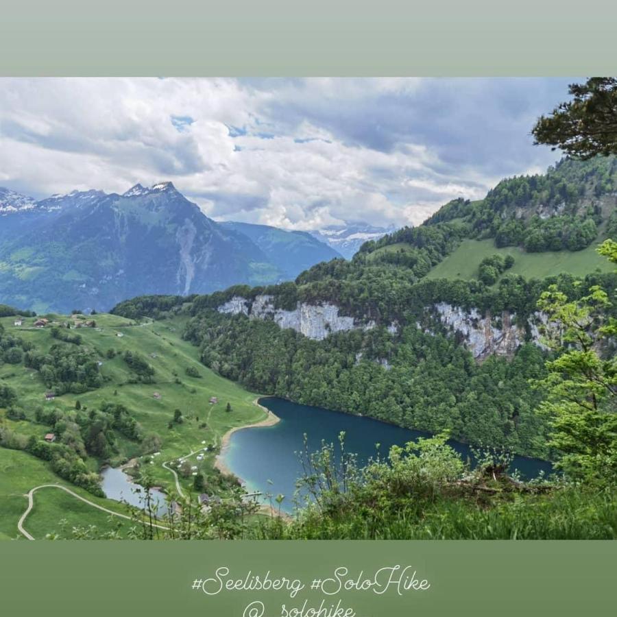 Schoene Ferienwohnung In Traumlage Fewo Solohike Seelisberg Extérieur photo