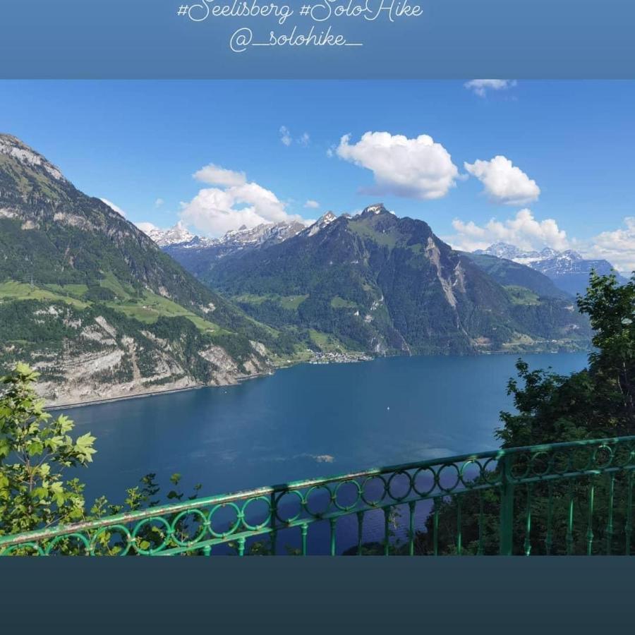 Schoene Ferienwohnung In Traumlage Fewo Solohike Seelisberg Extérieur photo