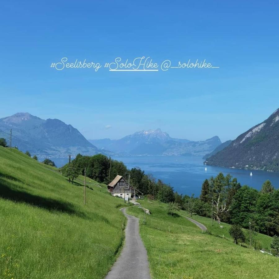 Schoene Ferienwohnung In Traumlage Fewo Solohike Seelisberg Extérieur photo