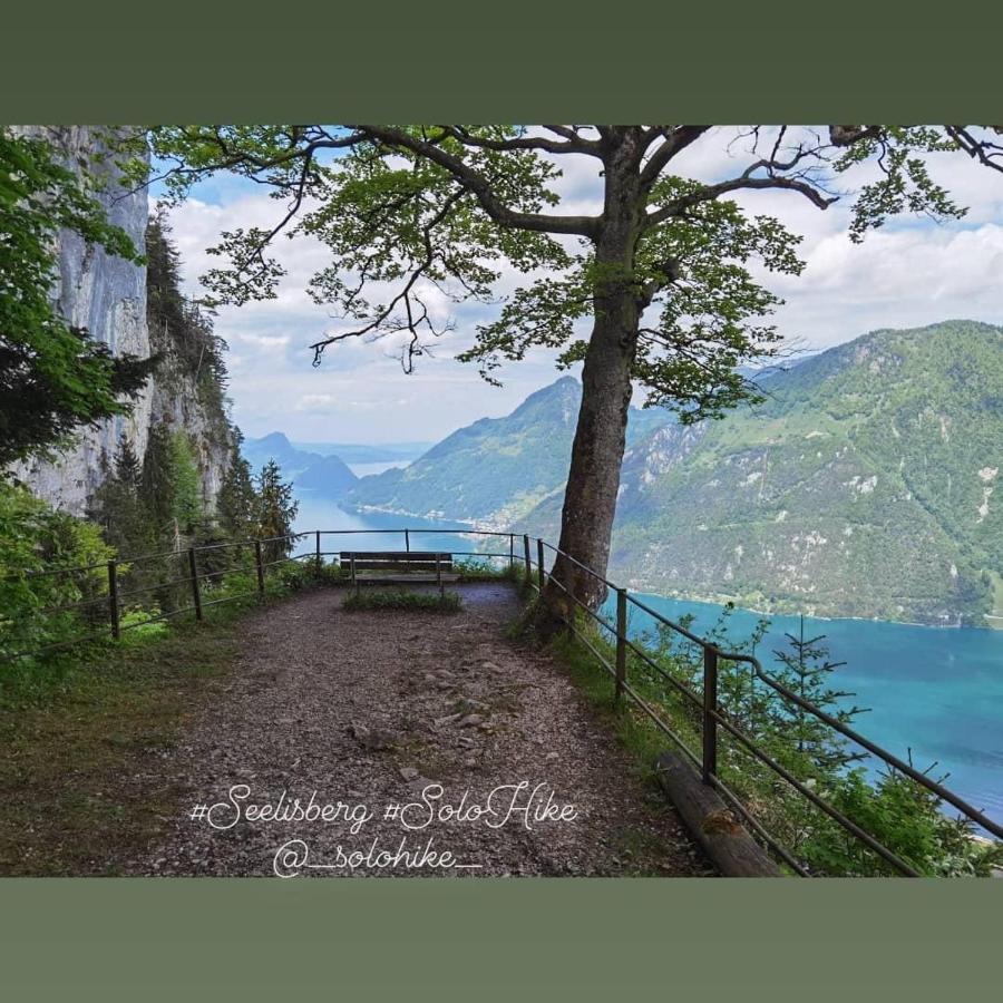 Schoene Ferienwohnung In Traumlage Fewo Solohike Seelisberg Extérieur photo