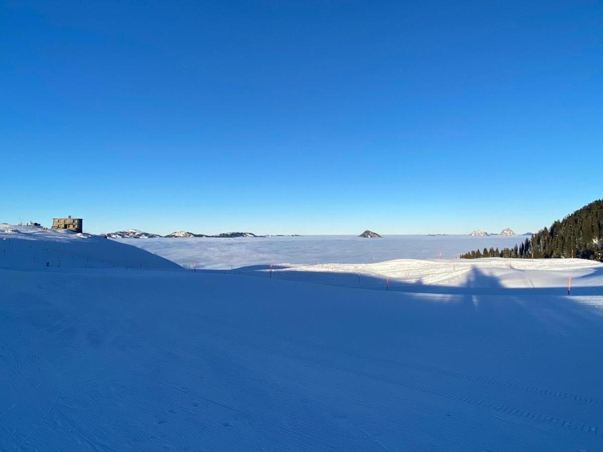 Schoene Ferienwohnung In Traumlage Fewo Solohike Seelisberg Extérieur photo